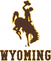 Wyoming Cowboys 2013-Pres Alternate Logo Print Decal