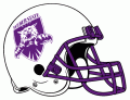 Weber State Wildcats 2001-2005 Helmet Logo Iron On Transfer