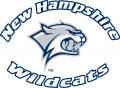 New Hampshire Wildcats 2000-Pres Alternate Logo 02 Print Decal