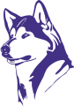 Washington Huskies 1995-2000 Partial Logo Print Decal