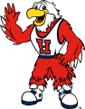 Hartford Hawks 1995-Pres Mascot Logo 01 Print Decal