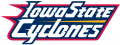 Iowa State Cyclones 1995-2007 Wordmark Logo 06 Print Decal