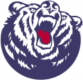 Belmont Bruins 2003-Pres Secondary Logo Print Decal