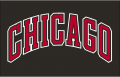 Chicago Bulls 1999 00-Pres Jersey Logo Print Decal