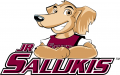Southern Illinois Salukis 2006-2018 Mascot Logo Print Decal