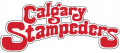 Calgary Stampeders 1980-1985 Wordmark Logo Print Decal