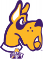 Albany Great Danes 2008-Pres Alternate Logo Print Decal