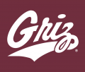 Montana Grizzlies 1996-Pres Alternate Logo 03 Iron On Transfer
