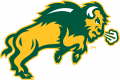 North Dakota State Bison 2012-Pres Secondary Logo Iron On Transfer