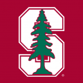 Stanford Cardinal 1993-2013 Alternate Logo Print Decal