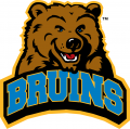 UCLA Bruins 2004-Pres Alternate Logo Iron On Transfer