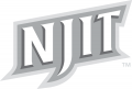 NJIT Highlanders 2006-Pres Wordmark Logo 20 Print Decal