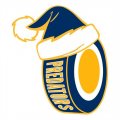 Nashville Predators Hockey ball Christmas hat logo Print Decal