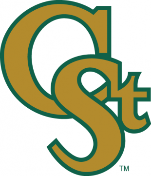 Colorado State Rams 1993-Pres Alternate Logo Print Decal