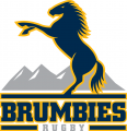 Brumbies 2005-Pres Primary Logo Print Decal