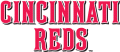 Cincinnati Reds 2007-Pres Wordmark Logo 01 Print Decal