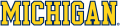 Michigan Wolverines 1996-Pres Wordmark Logo 08 Print Decal