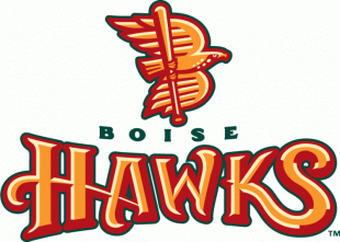 Boise Hawks 2011-Pres Primary Logo Print Decal