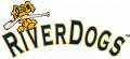 Charleston Riverdogs 2011-2015 Wordmark Logo Print Decal