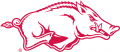 Arkansas Razorbacks 2001-2013 Alternate Logo 02 Print Decal
