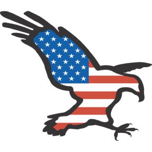 USA Logo 04 Iron On Transfer