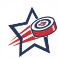 Winnipeg Jets Hockey Goal Star logo Iron On Transfer