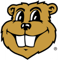 Minnesota Golden Gophers 1986-Pres Mascot Logo 02 Print Decal