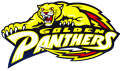 FIU Panthers 1994-2000 Primary Logo Print Decal