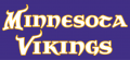 Minnesota Vikings 2004-Pres Wordmark Logo 04 Print Decal