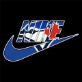 Toronto Blue Jays Nike logo Print Decal