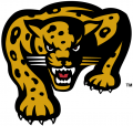 IUPUI Jaguars 1998-2007 Secondary Logo 02 Print Decal