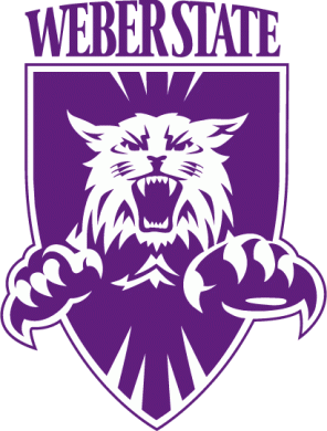 Weber State Wildcats 1997-2011 Primary Logo Iron On Transfer