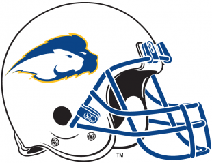 Hofstra Pride 2005-2008 Helmet Logo Iron On Transfer