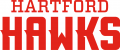 Hartford Hawks 2015-Pres Wordmark Logo 06 Print Decal