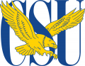Coppin State Eagles 2004-2016 Primary Logo Iron On Transfer